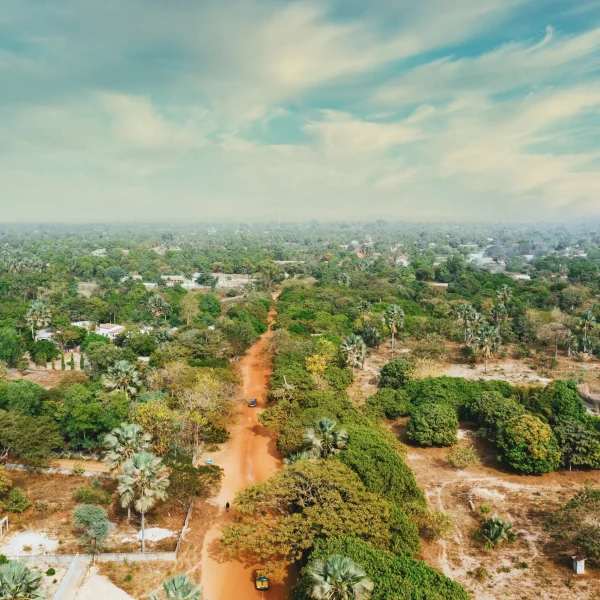 aerial-view-straight-dirt-road-from-village-with-trees-around-scaled aerial-view-straight-dirt-road-from-village-with-trees-around-scaled