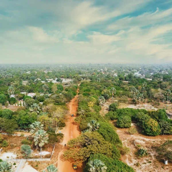aerial-view-straight-dirt-road-from-village-with-trees-around-scaled